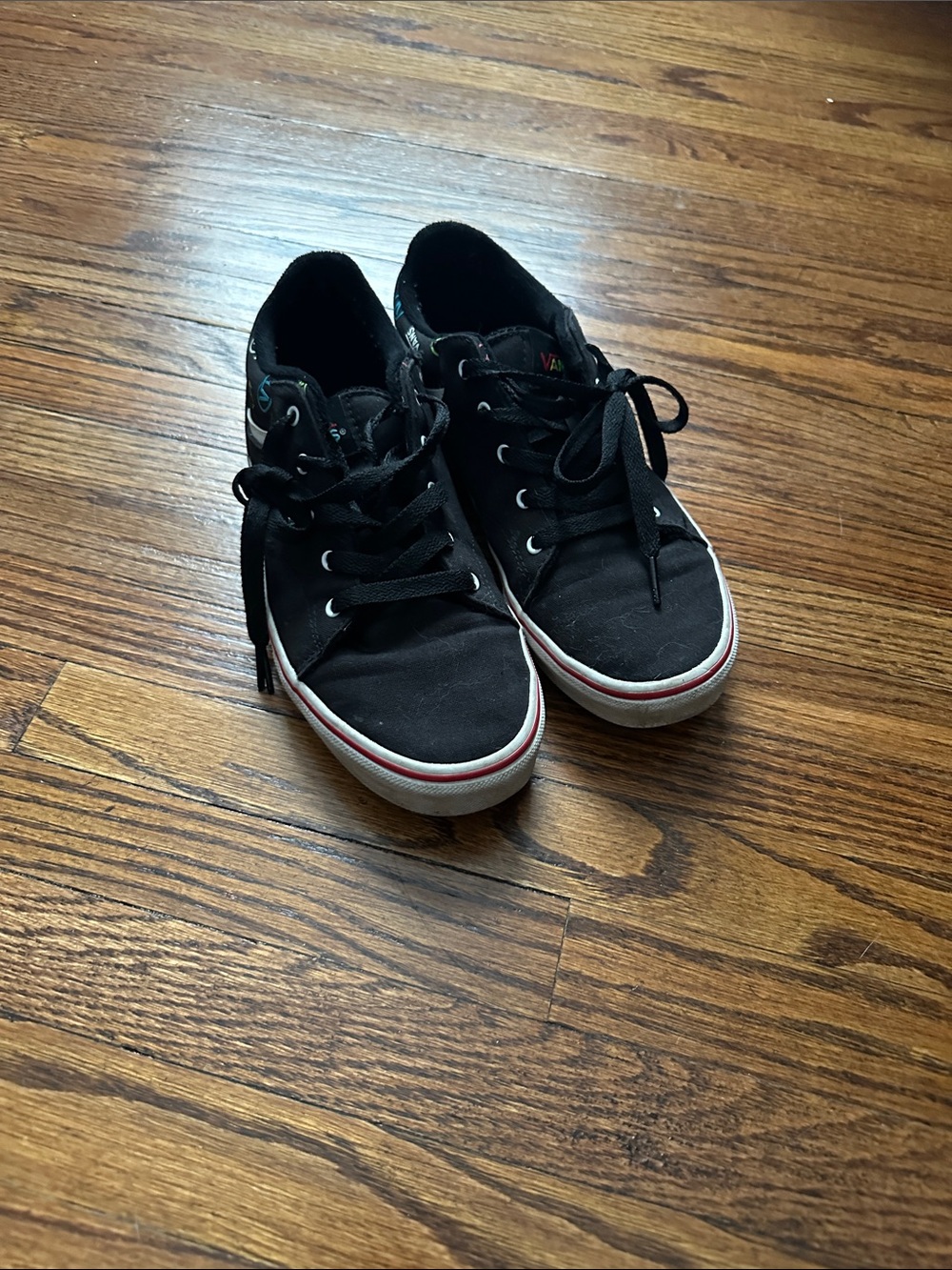 Vans Black Canvas Low-Top Sneakers with Red Trim